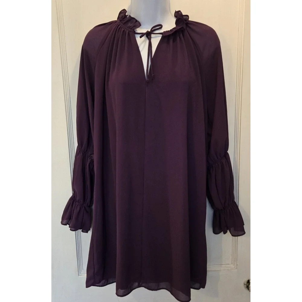 Olivaceous Ruffle Neck Sheer Layered Balloon Sleeves Lined Mini Dress‎ Medium